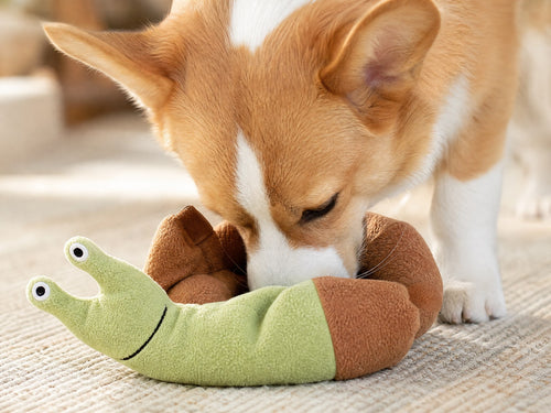 Dog sniffing the snail snuffle toy