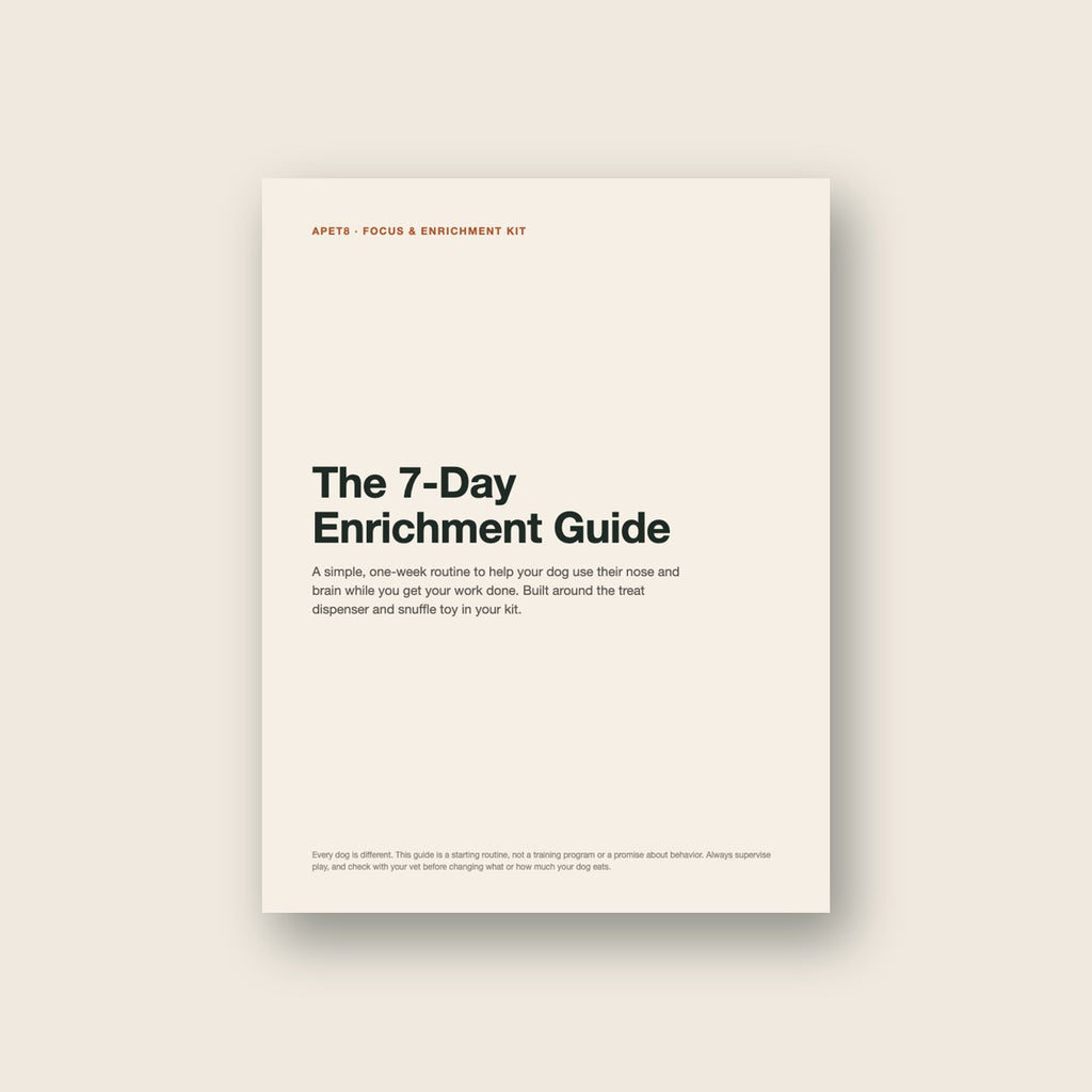 The 7-Day Enrichment Guide